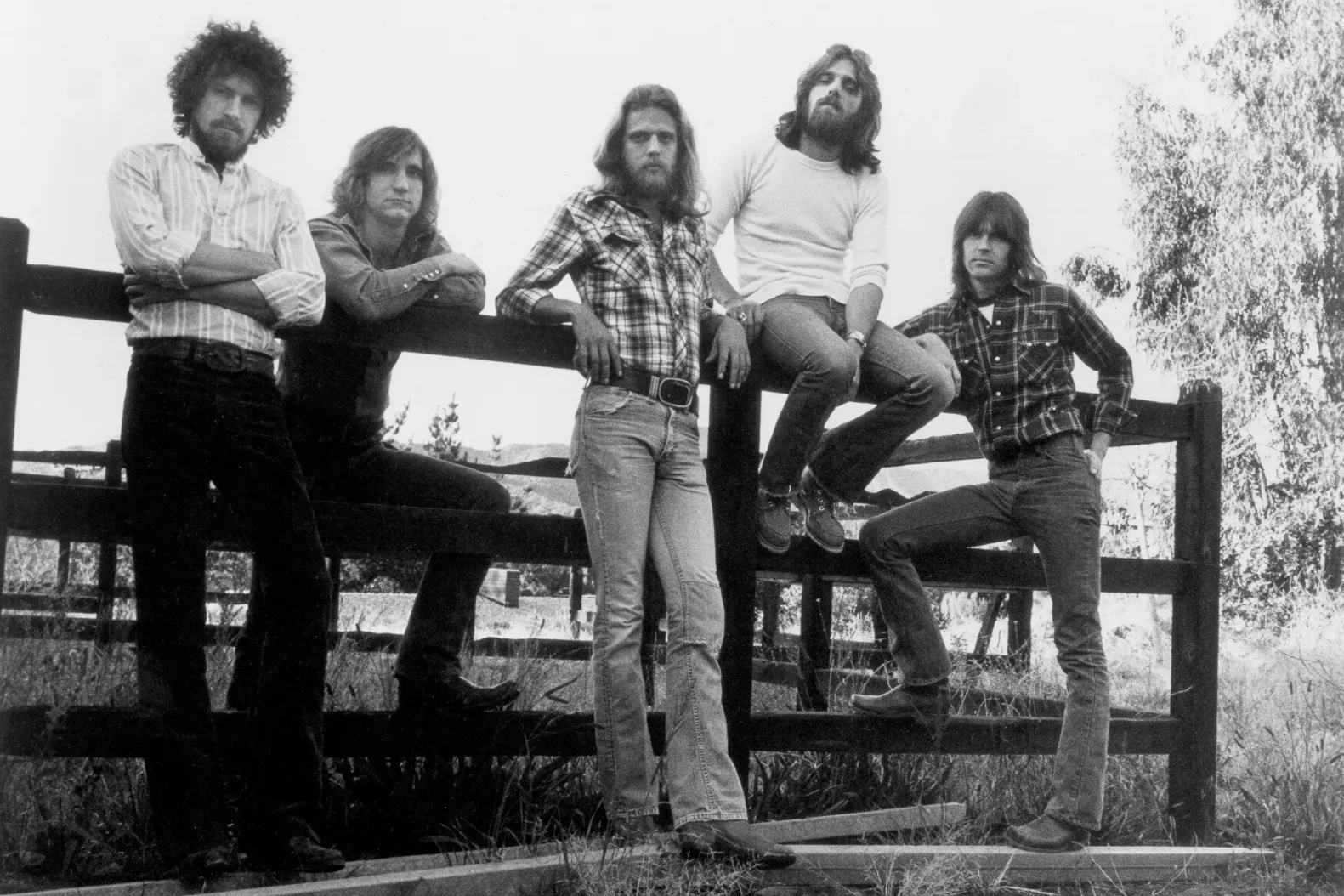 eagles70.jpg